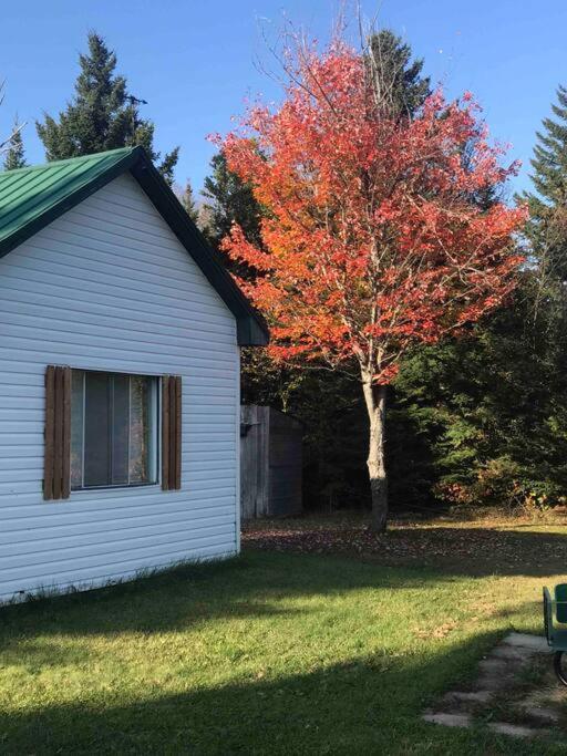 Le Jazz- Chalet Rustique/Chic Avec Spa Notre-Dame-Des-Bois Екстериор снимка