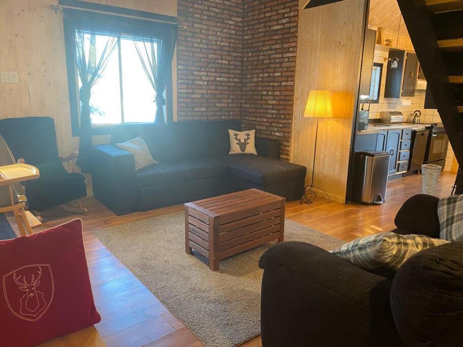 Le Jazz- Chalet Rustique/Chic Avec Spa Notre-Dame-Des-Bois Екстериор снимка